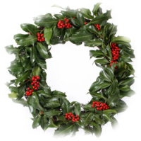 hollywreath200